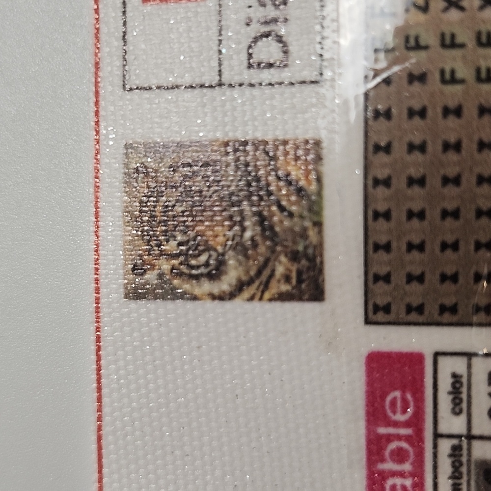 BN 2/$20 Tiger Diamond Art Kit - Picture 3 of 3
